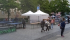 IMG_20230902_111031_1