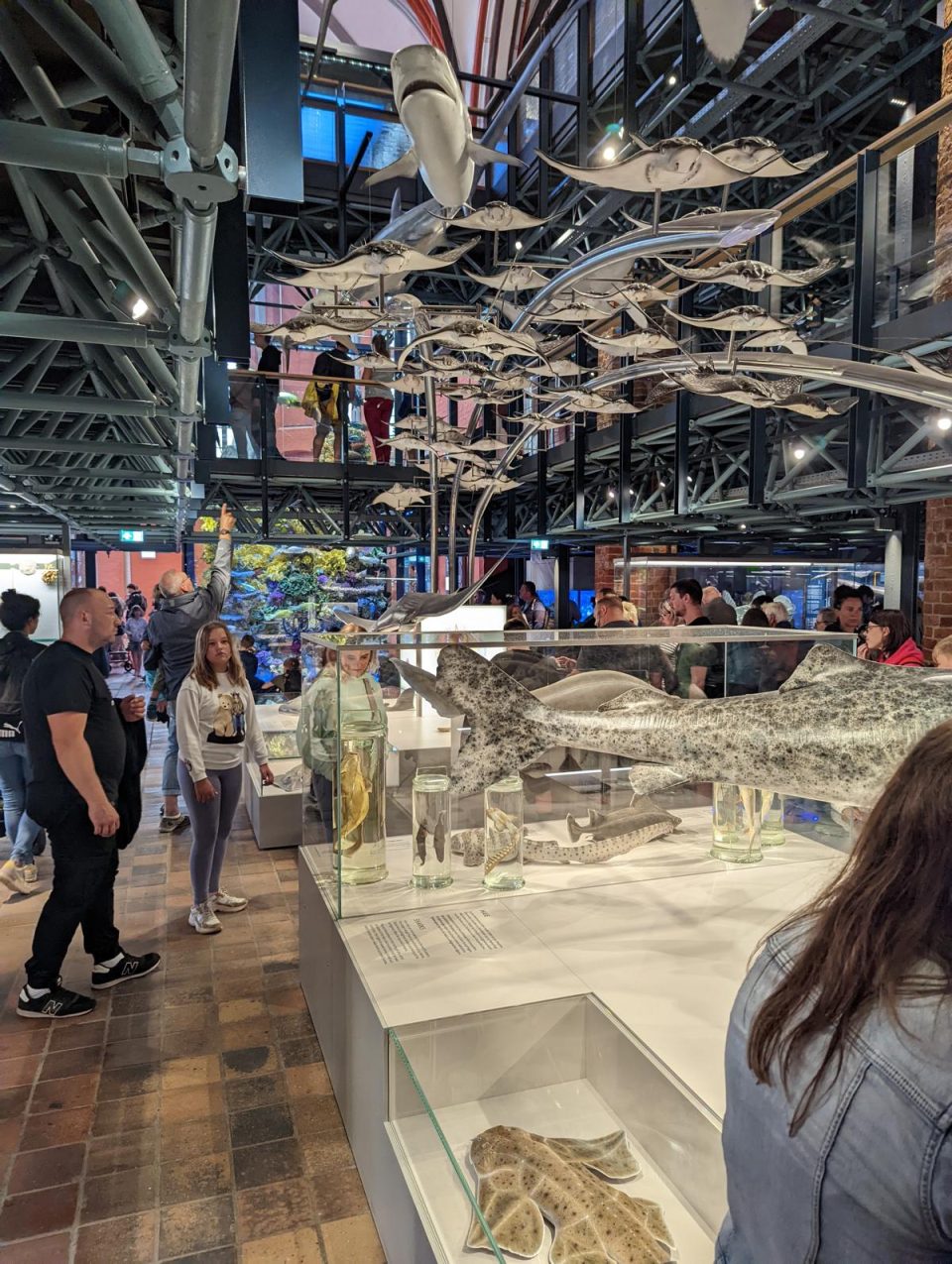 Meeresmuseum